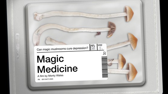 Magic Medicine, 2018, Docu (1)
